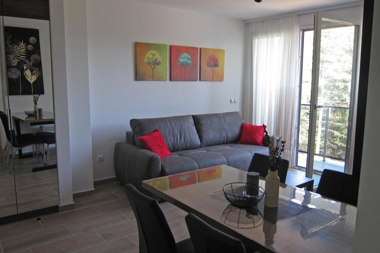 Apartment Planinac 03 Divčibare